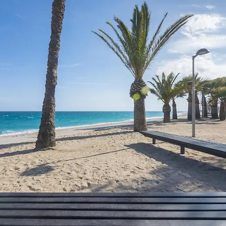 Apartment Homeholidaysrentals Palmier *