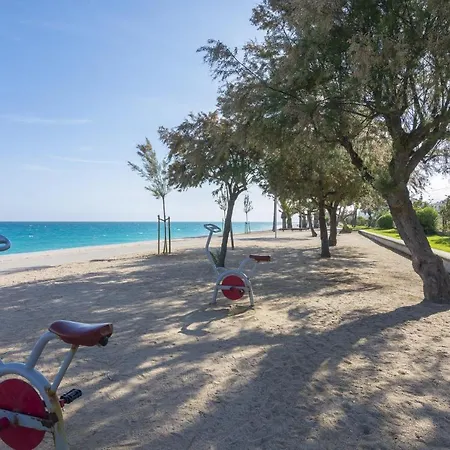 Homeholidaysrentals Palmier
