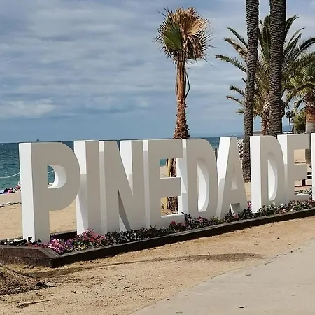 Homeholidaysrentals Palmier